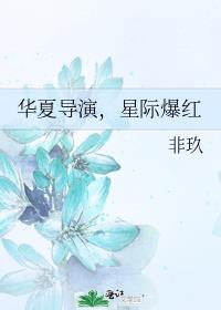 华夏导演星际爆红百度网盘资源